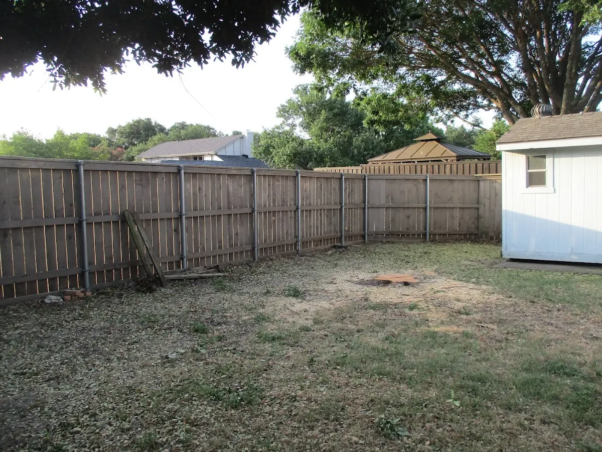 Cleared yard after professional tree removal in Gillett